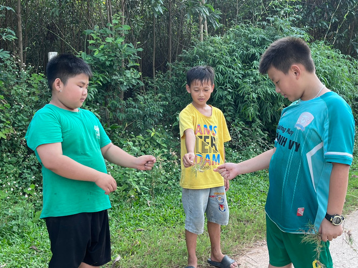Những đứa trẻ ở thành phố "bắt sóng" nhanh khi được bố mẹ gửi về quê vào dịp hè Nghỉ hè, trẻ con háo hức, phụ huynh đau đầu tìm giải pháp -0