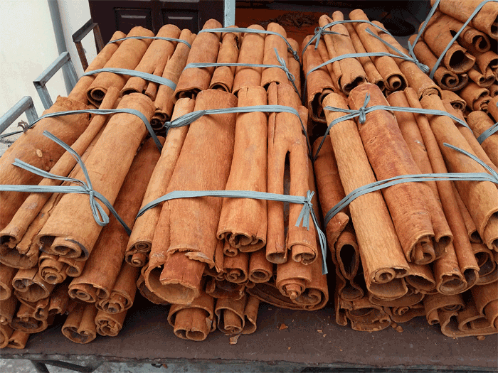 Ấn Độ, Hoa Kỳ và Bangladesh là 3 thị trường xuất khẩu chính của quế Việt Nam. Nguồn:ITN Nửa đầu năm 2023, xuất khẩu quế chiếm lĩnh thị trường nước ngoài -0