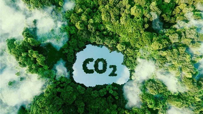 Chuẩn bị nguồn nhân lực cho thị trường tín chỉ carbon. Nguồn:ITN Chuẩn bị nguồn nhân lực cho thị trường tín chỉ carbon. Nguồn:ITN