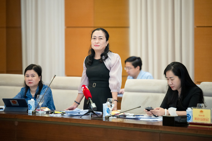 Phó Chủ tịch Hội đồng Dân tộc Trần Thị Hoa Ry phát biểu. Ảnh: Hồ Long Phó Chủ tịch Quốc hội Nguyễn Khắc Định chủ trì làm việc với 3 Bộ về thực hiện pháp luật về đơn vị sự nghiệp công lập -0