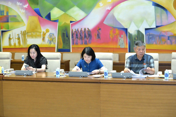 Các đại biểu dự phiên họp. Ảnh: Hồ Long Phó Chủ tịch Quốc hội Nguyễn Khắc Định chủ trì phiên họp của Đoàn giám sát về đơn vị sự nghiệp công lập