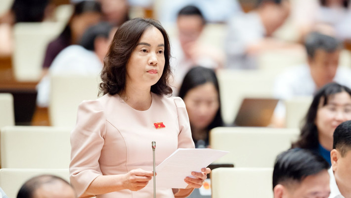 Bảo vệ, kiểm soát nghiêm ngặt diện tích đất trồng lúa, đất rừng đặc dụng ảnh 2 Bảo vệ, kiểm soát nghiêm ngặt diện tích đất trồng lúa, đất rừng đặc dụng -0