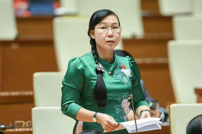 Thường xuyên rà soát hệ thống văn bản quy phạm pháp luật ảnh 4 ĐBQH Phan Thị Mỹ Dung (Long An)