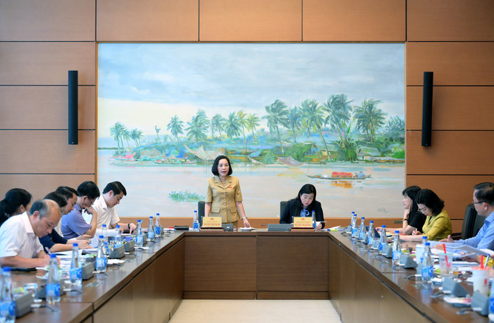 Phó Chủ tịch Quốc hội Nguyễn Thị Thanh chủ trì họp Ban Chỉ đạo xây dựng Đề án “Đổi mới cơ chế bầu cử ĐBQH và đại biểu HĐND các cấp” ảnh 2 Toàn cảnh cuộc họp