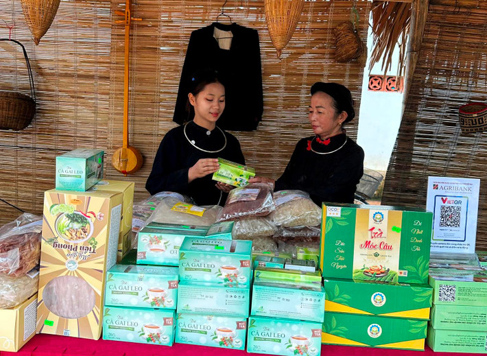 Nhiều bài thuốc nam có hiệu quả chữa bệnh cao đã được hội viên Hội Đông y Thái Nguyên chia sẻ Hơn 100 bài thuốc quý từ cây dược liệu -0