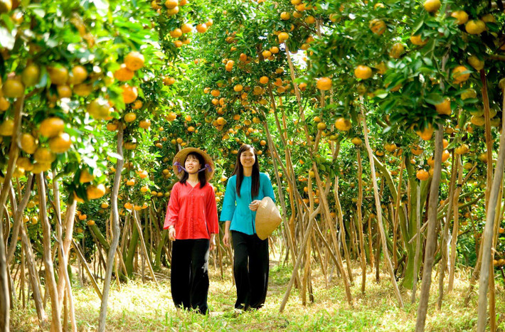 Phát triển du lịch nông thôn trong xây dựng nông thôn mới. Ảnh: ITN Bến Tre: Phát triển du lịch nông thôn trong xây dựng nông thôn mới -0