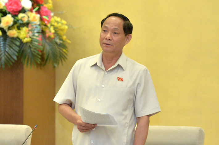 Bảo đảm cơ sở pháp lý thực hiện các chính sách mới, nhân văn ảnh 3 Bảo đảm cơ sở pháp lý thực hiện các chính sách mới, nhân văn -2