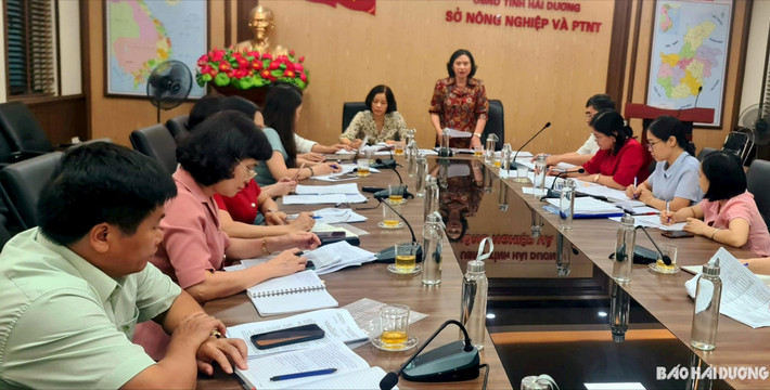 Bài cuối: Lựa chọn sản phẩm chủ lực để nâng cao giá trị ảnh 1 Phó Chủ tịch Thường trực HĐND tỉnh Nguyễn Thị Ngọc Bích phát biểu tại buổi giám sát tại Sở Nông Nghiệp và Phát triển nông thôn - ẢNH PHONG TUYẾT