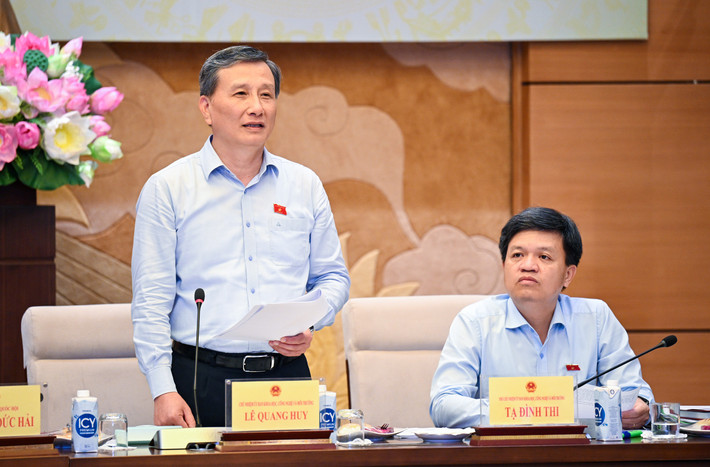 Phó Chủ tịch Quốc hội Nguyễn Đức Hải dự Hội thảo góp ý hoàn thiện dự thảo Luật Điện lực (sửa đổi) ảnh 2 Chủ nhiệm Uỷ ban Khoa học, Công nghệ và Môi trường Lê Quang Huy phát biểu tại Hội thảo- Ảnh H. ngọc