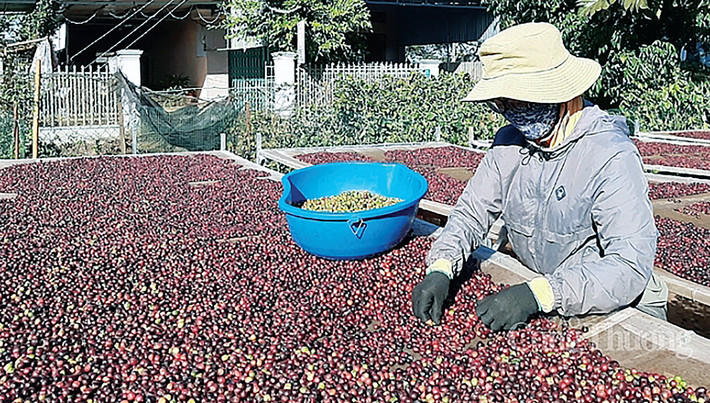 Nguồn: ITN Nguồn: ITN