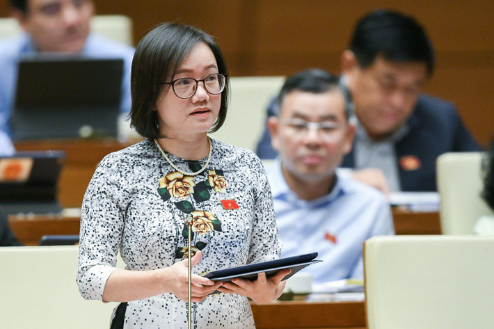 Thường xuyên rà soát hệ thống văn bản quy phạm pháp luật ảnh 3 ĐBQH Thái Thị An Chung (Nghệ An)