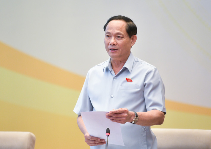 Cân nhắc, giải trình thấu đáo việc bổ sung nguyên tắc mới ảnh 1 Phó Chủ tịch Quốc hội Trần Quang Phương phát biểu tại Hội thảo - Ảnh H.Ngọc