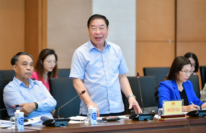 Cân nhắc, giải trình thấu đáo việc bổ sung nguyên tắc mới ảnh 4 nguyên Phó Chủ nhiệm Ủy ban Pháp luật Lê Minh Thông - Ảnh H.Ngọc