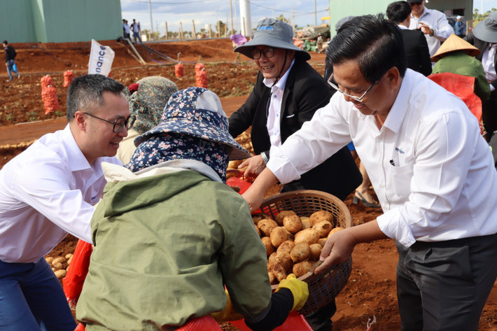 Đại diện ban, ngành và các đối tác tham gia thu hoạch khoai tây cùng bà con nông dân Thành công của chuỗi sản xuất khoai tây khép kín ở Gia Lai -0