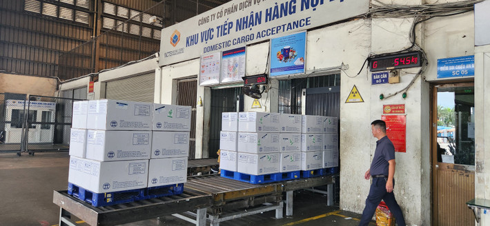 Trong 6 tháng cuối năm, Hãng hàng không Quốc gia sẽ vận chuyển miễn cước 30 tấn vaccine trong khuôn khổ của chương trình này. Ảnh: VNA Vietnam Airlines tiếp tục vận chuyển miễn cước vắc xin cho Chương trình Tiêm chủng mở rộng Quốc gia -0