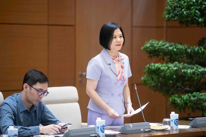 Ủy viên Thường trực Ủy ban Đối ngoại Trần Thị Hồng An trình bày các Nghị quyết thành lập Ban chỉ đạo, Ban biên soạn cuốn sách Ủy viên Thường trực Ủy ban Đối ngoại Trần Thị Hồng An trình bày các Nghị quyết thành lập Ban chỉ đạo, Ban biên soạn cuốn sách