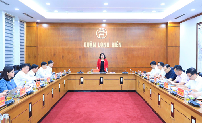 Phó Bí thư Thường trực Thành ủy Hà Nội Nguyễn Thị Tuyến phát biểu tại buổi làm việc. Ảnh: Q.T Quận Long Biên (Hà Nội): Tập trung rà soát các mục tiêu nhiệm vụ, hoàn thành các chương trình, kế hoạch, mục tiêu đã đề ra -0