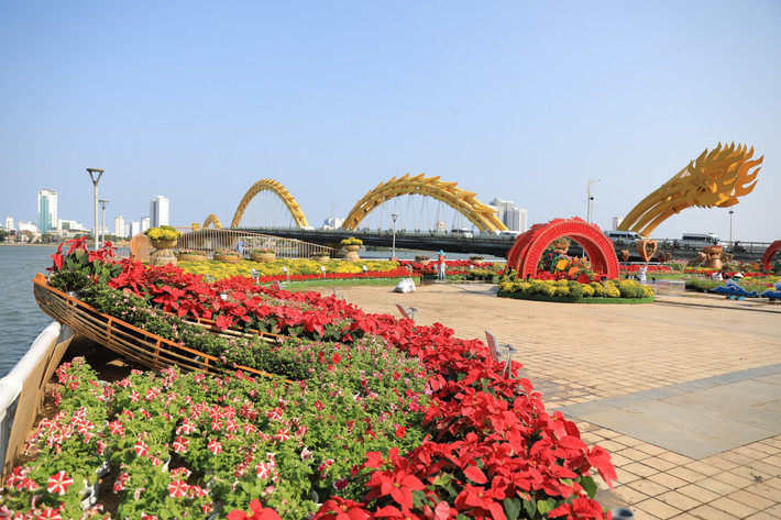 Đường hoa nhiều màu sắc đón Tết Nguyên đán 2024 Rực rỡ đường hoa Tết đón “Rồng vàng” ở Đà Nẵng