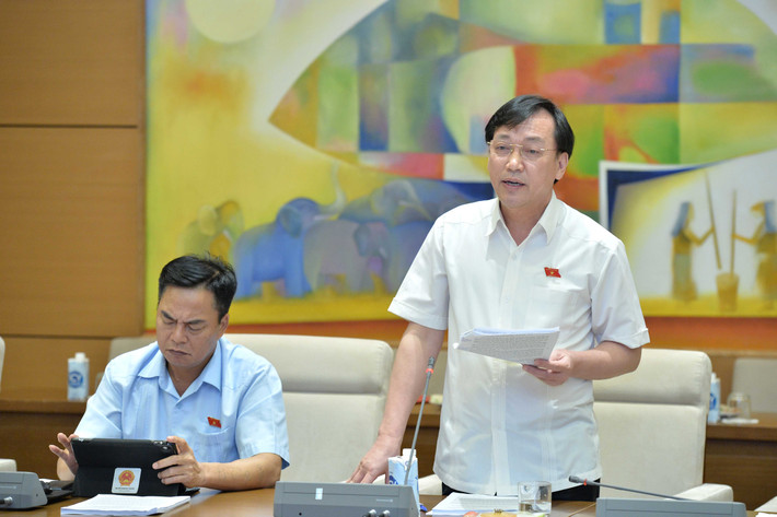 Phó Chủ nhiệm Ủy ban Văn hóa, Giáo dục Phan Viết Lượng phát biểu. Ảnh: Hồ Long Phó Chủ tịch Quốc hội Nguyễn Khắc Định chủ trì phiên họp của Đoàn giám sát về đơn vị sự nghiệp công lập -0
