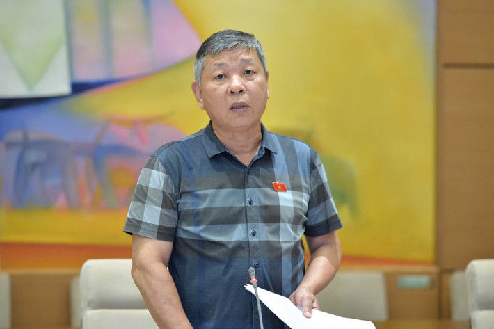 Phó Chủ nhiệm Ủy ban Xã hội Nguyễn Hoàng Mai phát biểu. Ảnh: Hồ Long Phó Chủ tịch Quốc hội Nguyễn Khắc Định chủ trì phiên họp của Đoàn giám sát về đơn vị sự nghiệp công lập -0