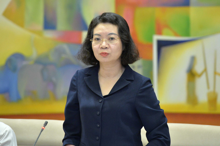 Phó Chủ nhiệm Ủy ban Tư pháp Mai Thị Phương Hoa phát biểu. Ảnh: Hồ Long Phó Chủ tịch Quốc hội Nguyễn Khắc Định chủ trì phiên họp của Đoàn giám sát về đơn vị sự nghiệp công lập -0