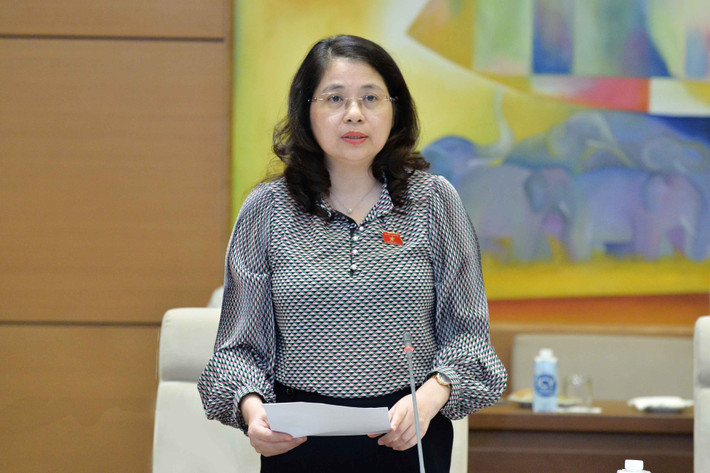 Phó Chủ nhiệm Ủy ban Pháp luật Trần Hồng Nguyên trình bày báo cáo. Ảnh: Hồ Long Phó Chủ tịch Quốc hội Nguyễn Khắc Định chủ trì phiên họp của Đoàn giám sát về đơn vị sự nghiệp công lập -0