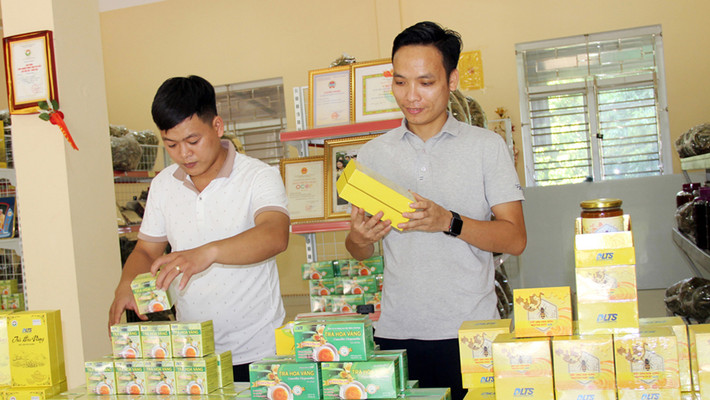 HTX Sản xuất cây dược liệu Lựu Chanh (xã Trường Sơn, huyện Lục Nam). Ảnh: ITN Đưa hợp tác xã nông nghiệp trở thành mô hình kinh tế - xã hội quan trọng -0