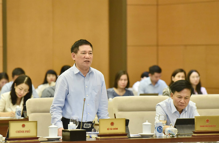 Dự án Luật Thuế giá trị gia tăng (sửa đổi): Cần quy định cụ thể hơn các hành vi bị cấm ảnh 5 Cần quy định cụ thể hơn các hành vi bị cấm -0