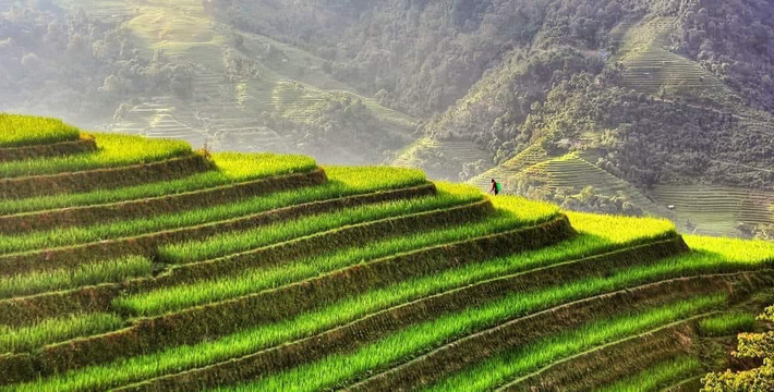 Lồng ghép với các chương trình mục tiêu để tăng hiệu quả khuyến công ảnh 1 Lồng ghép với các chương trình mục tiêu để tăng cường hiệu quả khuyến công.Nguồn:ITN