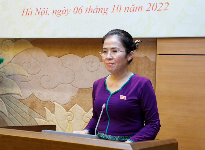 Chủ tịch Nhóm nữ đại biểu Quốc hội và HĐND tỉnh Nghệ An Võ Thị Minh Sinh phát biểu Phó Chủ tịch Thường trực Quốc hội Trần Thanh Mẫn gặp mặt nữ lãnh đạo, nữ đại biểu Quốc hội, HĐND tỉnh Nghệ An -0