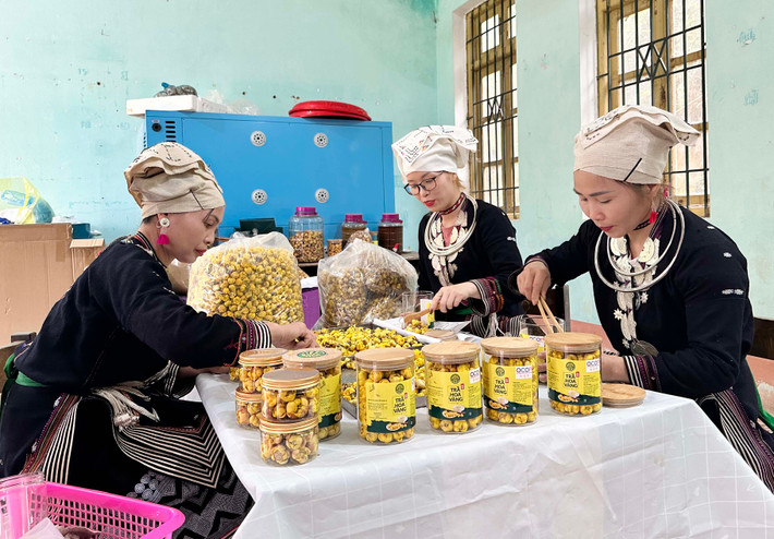 Cô gái Tày Dương Khánh Ly (ngồi giữa) khởi nghiệp thành công với tín dụng chính sách. Ảnh: Đức Kiên Ảnh 1: Cô gái Tày Dương Khánh Ly (ngồi giữa) khởi nghiệp thành công với tín dụng chính sách. Ảnh: Đức Kiên.