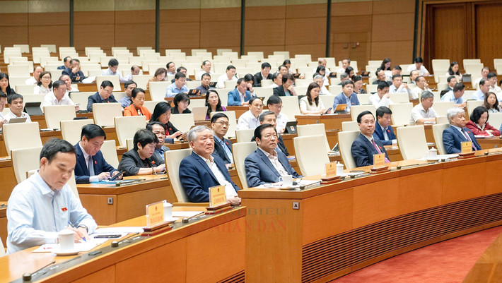 Khai mạc Hội nghị đại biểu Quốc hội hoạt động chuyên trách ảnh 2 Khai mạc Hội nghị đại biểu Quốc hội hoạt động chuyên trách -0