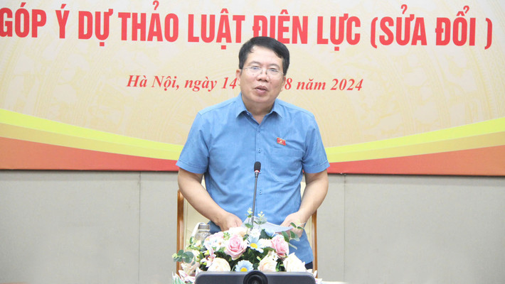 Viện trưởng Viện Nghiên cứu lập pháp, TS. Nguyễn Văn Hiển phát biểu tại hội thảo Cần khuyến khích đào tạo nhân lực chất lượng cao trong hoạt động điện lực -0
