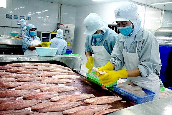 Giá xuất khẩu cá tra dự báo tăng khoảng 10% trong nửa cuối năm nay. Nguồn:ITN Giá xuất khẩu cá tra dự báo tăng khoảng 10% trong nửa cuối năm nay. Nguồn:ITN