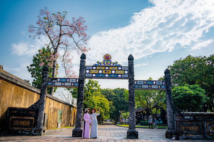 Ngô đồng đua nhau khoe sắc trong Đại Nội Huế ảnh 7 Ngô đồng đua nhau khoe sắc trong Đại Nội Huế -0