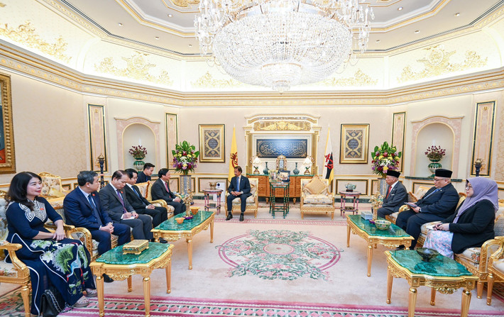 Phó Chủ tịch Quốc hội Nguyễn Khắc Định hội kiến Quốc vương Brunei Darussalam Haji Hassanal Bolkiah. Ảnh: TTXVN Phó Chủ tịch Quốc hội Nguyễn Khắc Định hội kiến Quốc vương và chào Chủ tịch Hội đồng Lập pháp Brunei -0
