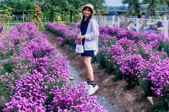 Tại khu tham quan Điện mặt trời An Hảo du khách sẽ được hoà mình với thiên nhiên Du lịch ở khu tham quan Điện mặt trời An Hảo dịp Lễ Quốc khánh 2.9