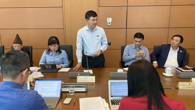 ĐBQH Ngô Hoàng Ngân phát biểu về dự án tại phiên thảo luận ở Tổ, Kỳ họp thứ Ba vừa qua. Ảnh: T. Nguyên Bài 4: Đề nghị sớm