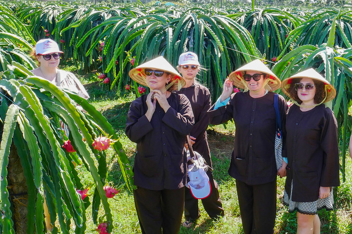 Du khách trải nghiệm du lịch vườn thanh long. Nguồn: ITN Phát triển du lịch nông thôn gắn với xây dựng nông thôn mới -0