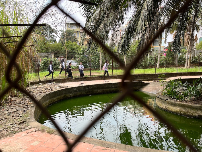 Đã gần hai năm làm phía công viên có văn bản xin thả cá sấu về tự nhiên, song đến nay vẫn chưa được hồi đáp. Công viên lớn nhất thành phố Vinh xin được thả đàn cá sấu về tự nhiên -0