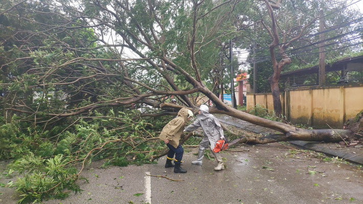 Công an quận Ba Đình kịp thời hỗ trợ nhà dân bị gió bão tốc mái ảnh 4 Công an quận Ba Đình kịp thời hỗ trợ nhà dân bị tốc mái -0