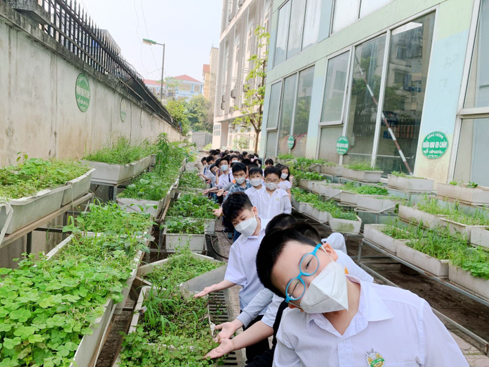 Học sinh lớp 1 lần đầu đến trường nên được đến thăm quan từ khu bếp ăn, khu vệ sinh, thư viện, vườn rau… Học sinh lớp 1 lần đầu đến trường nên được đến thăm quan từ khu bếp ăn, khu vệ sinh, thư viện, vườn rau…