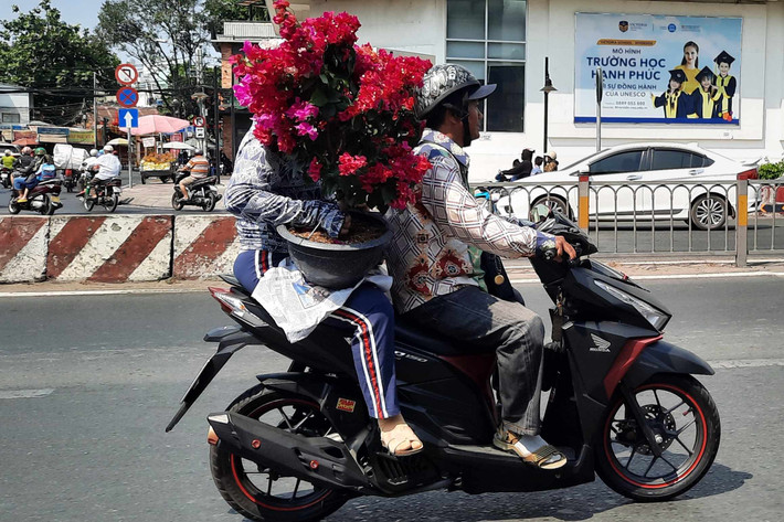 Người dân TP. Hồ Chí Minh mang hoa về trưng bày dịp Tết Giáp Thìn 2024. Ảnh: Quang Phương. Hàng trăm loại hoa từ các tỉnh tập kết về TP. Hồ Chí Minh cùng khoe sắc dịp Tết Giáp Thìn 2024 -0