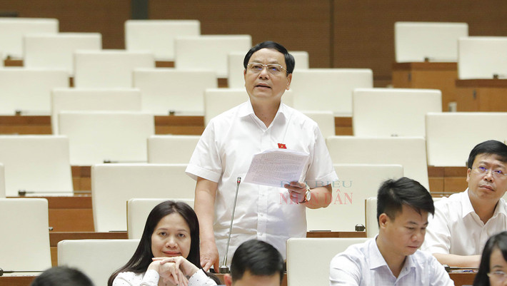 Chặt chẽ trong quy định điều kiện trở thành thành viên hợp tác xã ảnh 4 Chặt chẽ trong quy định điều kiện trở thành thành viên hợp tác xã -0