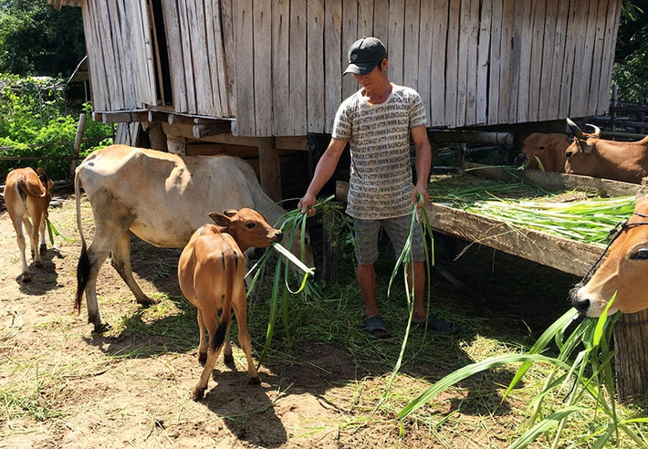 Huy động mọi nguồn lực để phát triển KT-XH vùng DTTS và miền núi. Nguồn ITN Phú Yên quan tâm hỗ trợ đời sống, kinh tế người dân vùng đồng bào dân tộc thiểu số -0