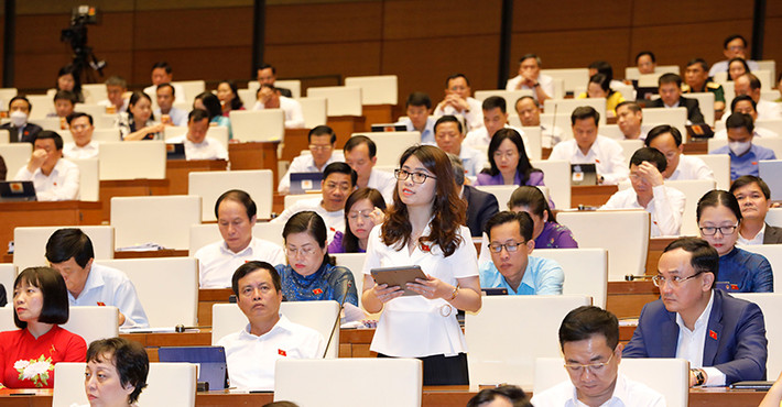 ĐBQH Đinh Thị Ngọc Dung (Hải Dương) phát biểu. Ảnh: Hồ Long Quốc hội thảo luận về kết quả thực hiện kế hoạch phát triển kinh tế - xã hội -0
