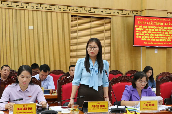 Đại biểu nêu vấn đề tại phiên giải trình 4.jpg -0