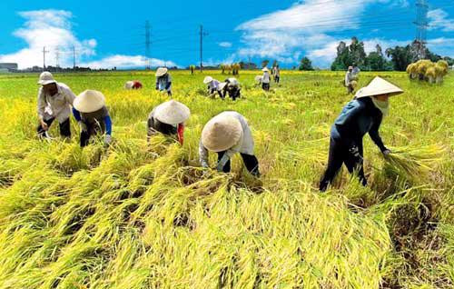 Nguồn: ITN Đổi mới, nâng cao chất lượng hoạt động của Hội Nông dân Việt Nam -0