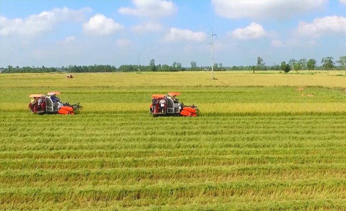 Hạn mức giao đất nông nghiệp quá thấp ảnh 1 Mở rộng hạn mức giao đất nông nghiệp để tạo thuận lợi cho tích tụ đất đai. Ảnh ITN