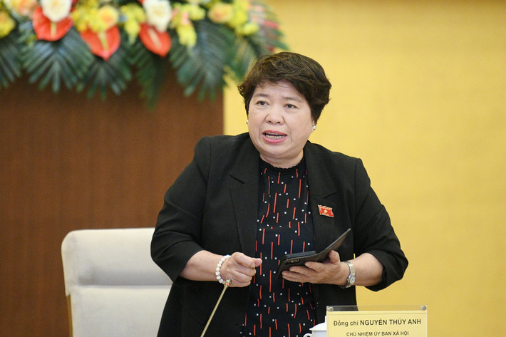 Chủ nhiệm Ủy ban Xã hội Nguyễn Thúy Anh phát biểu tại phiên họp Phó Chủ tịch Quốc hội Nguyễn Khắc Định chủ trì Phiên họp Hội đồng khoa học của Ủy ban Thường vụ Quốc hội